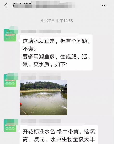 桂花鱼怎么养殖比较好