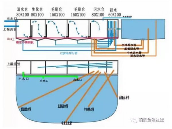 庭院鱼池水净化系统怎样布置