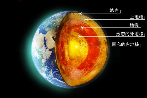 天鹅会飞吗什么时候迁徙