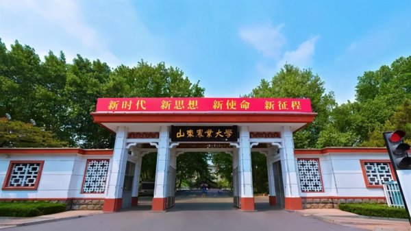 山东大学排名全国第几