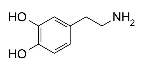 多巴胺是什么神经递质