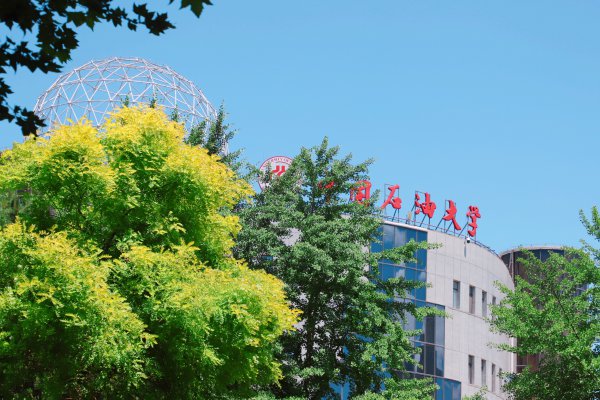 中国石油大学是211还是985