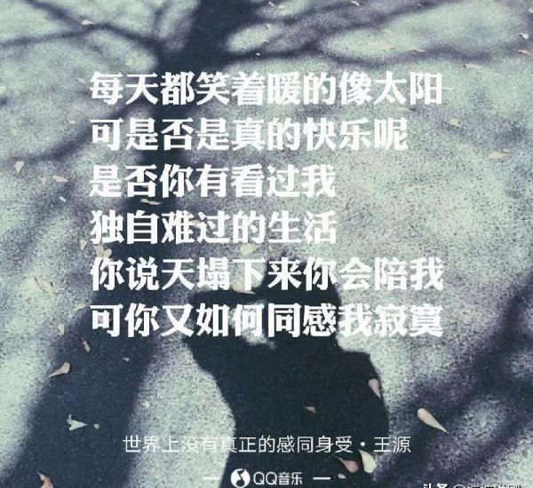 同理心和共情力的区别