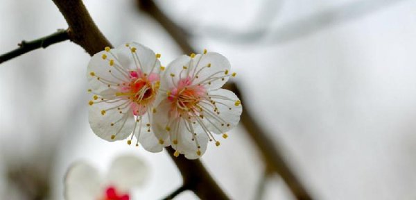 性格外向的人的特点