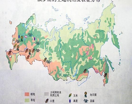 俄罗斯远东地区人口数量