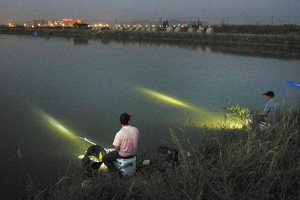 盲人骑瞎马夜半临深池的故事