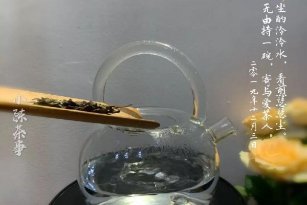 什么茶煮着喝最好