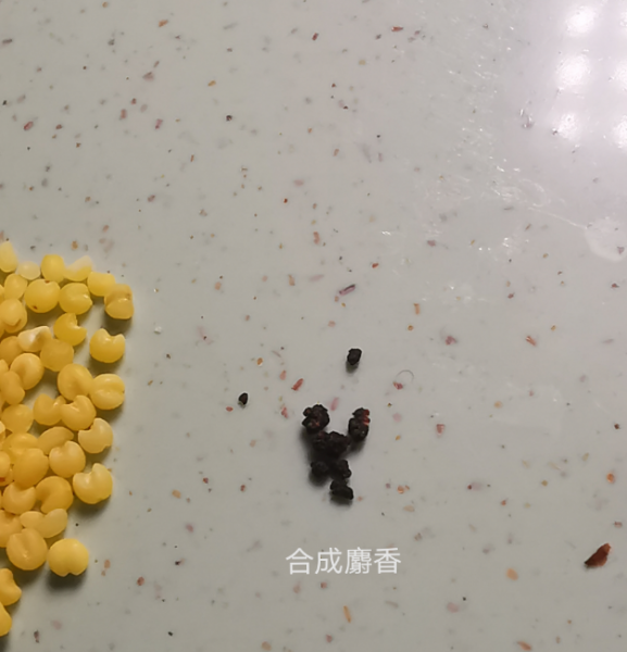 麝香是什么味道