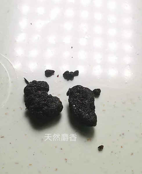 麝香是什么味道