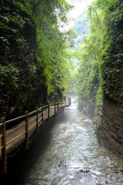 湖南旅游十大必去景区张家界