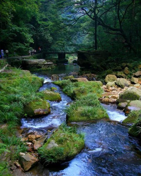 湖南旅游十大必去景区张家界