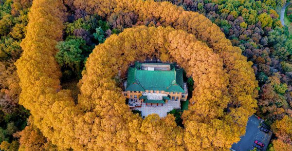 秋天南京必去5个景点