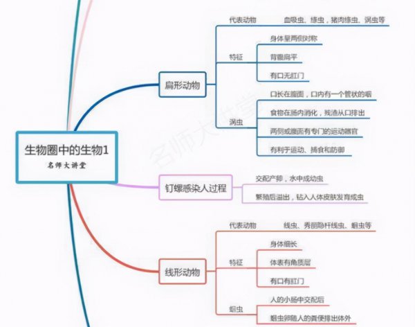 初中生物怎么学才能提高成绩