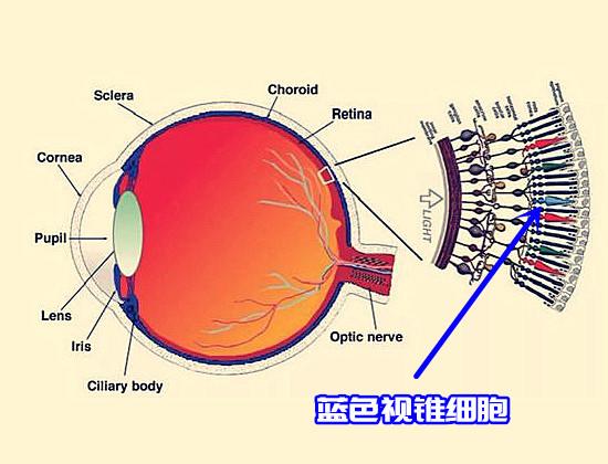 天空为什么是蓝色