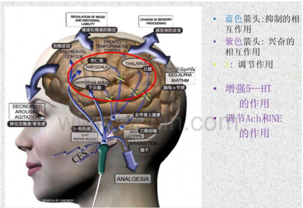 手握睡眠仪有用吗