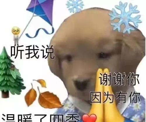 听我说谢谢你是什么梗