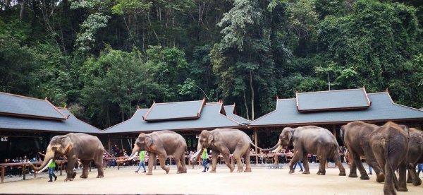 西双版纳旅游攻略必去景点