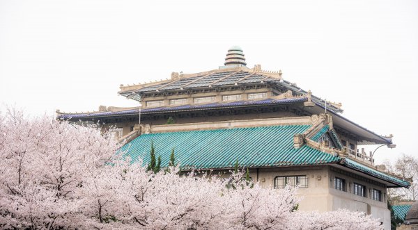 华中科技大学与武汉大学哪个好