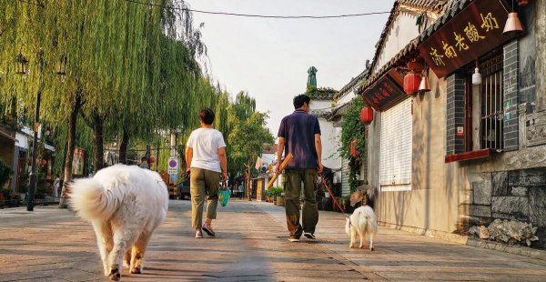 济南旅游攻略必去景点