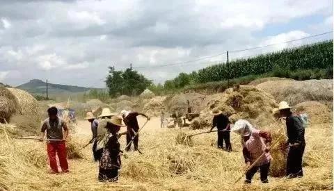 大锅饭什么意思