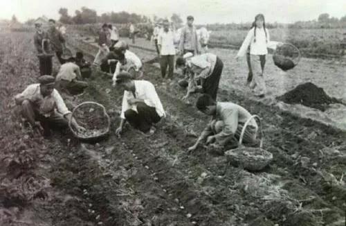 大锅饭什么意思