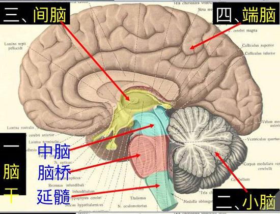 手脚不协调怎么锻炼