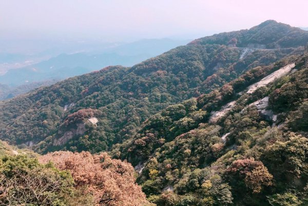 淮河长度全长1000千米