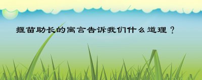 揠苗助长的道理是什么意思 故事虽简单寓意却很深刻