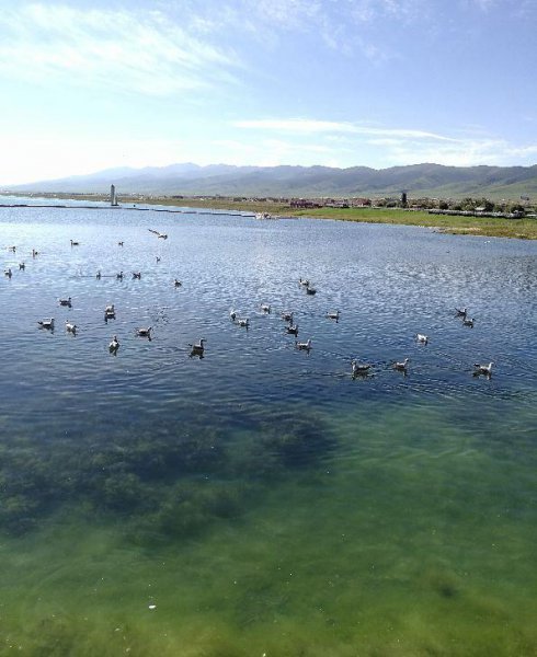 青海湖是中国最大的什么湖