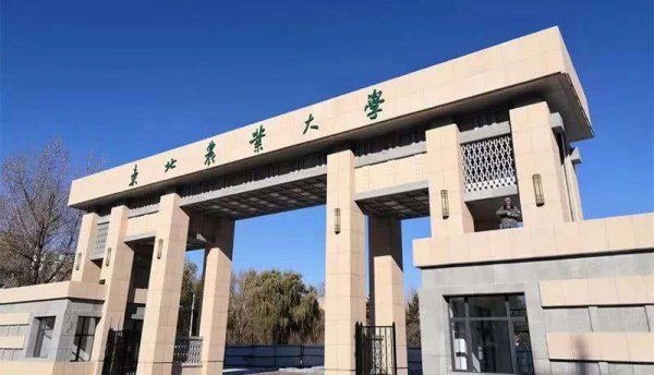 黑龙江有什么大学