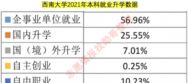 西南大学就业情况怎么样