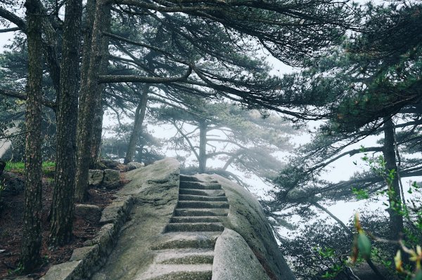 天柱山风景区在哪里