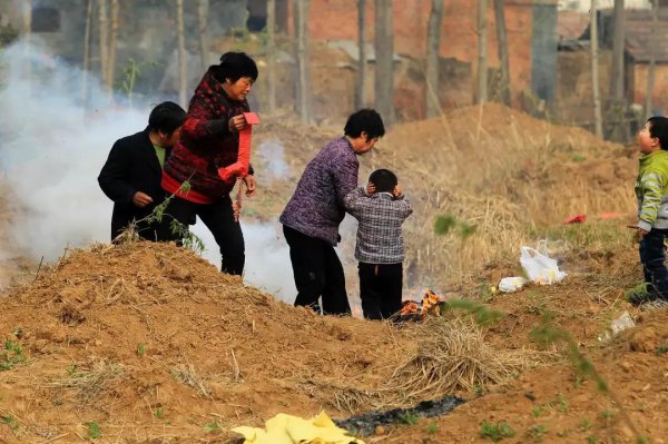 祖坟前栽什么树最旺后人