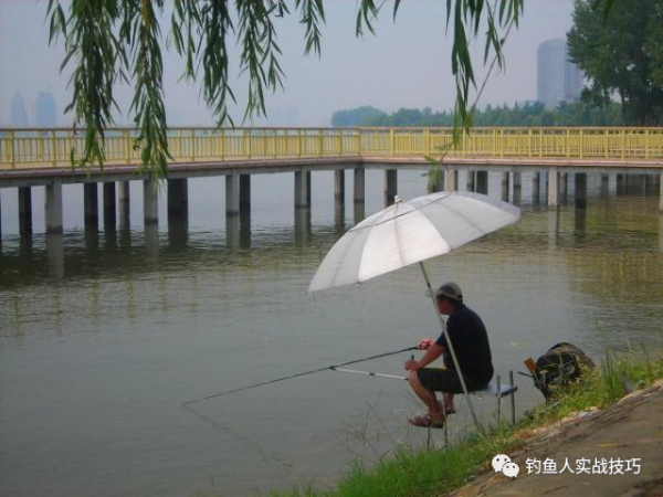 夏季钓鱼钓深水好还是钓浅水好一点