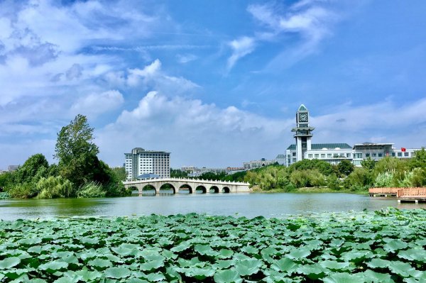 中南财经政法大学在哪个城市