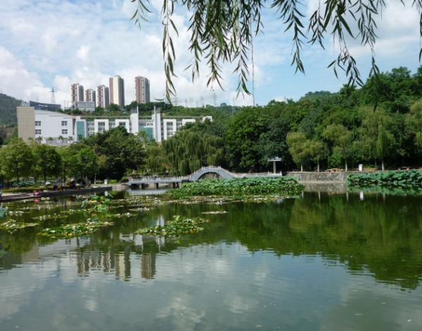 攀枝花是几线城市