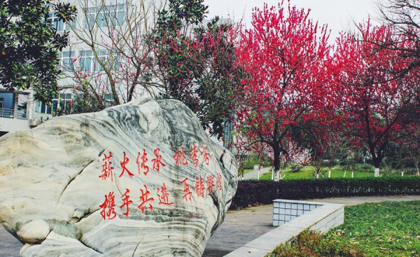 川北医学院是什么级别