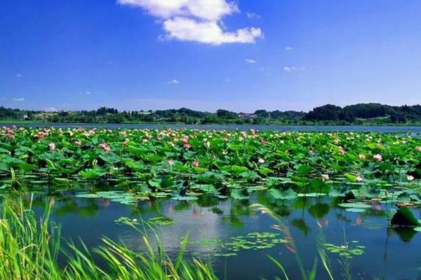 湖北洪湖属于哪个市