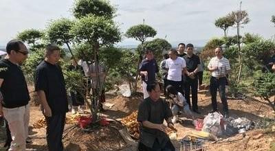 100天祭奠拿什么东西