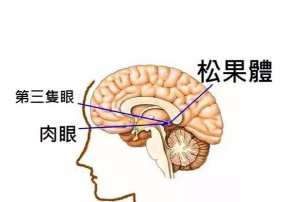 开天眼的六个征兆头疼