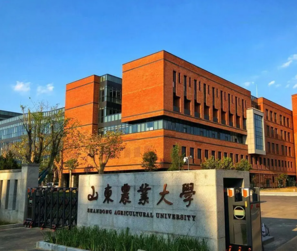 青岛农业大学排名