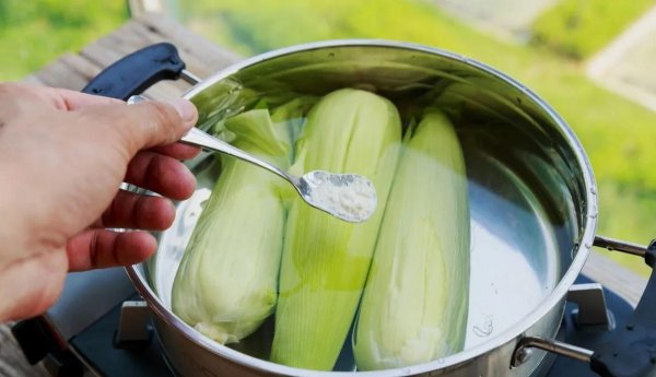 什么食物里含叶黄素比较多