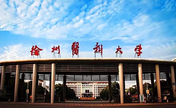 学医报考哪些大学