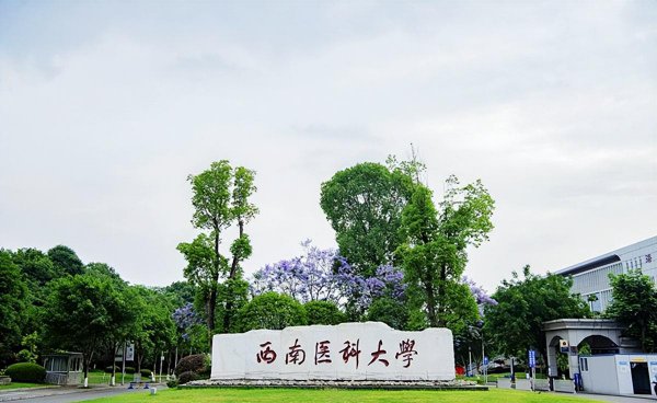 学医报考哪些大学