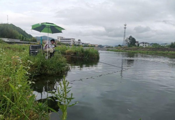 下完雨好钓鱼吗