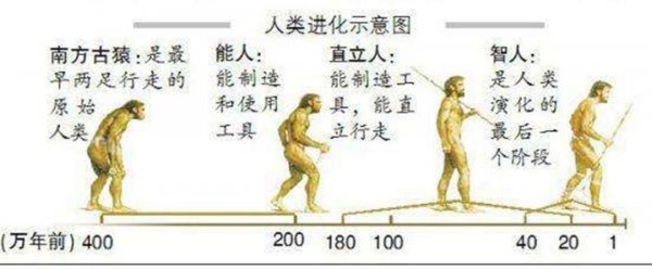 恐龙灭绝的十大原因资料