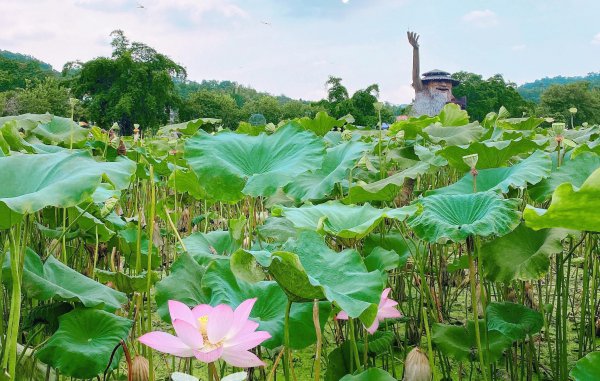 花都有什么好玩的地方推荐