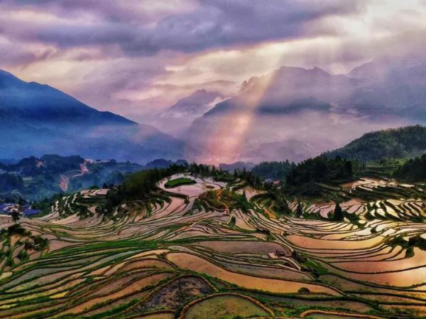 浙江丽水旅游必去十大景点