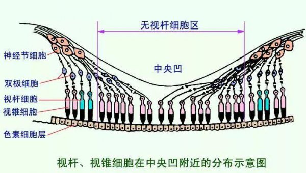 人眼的像素有多高分辨率