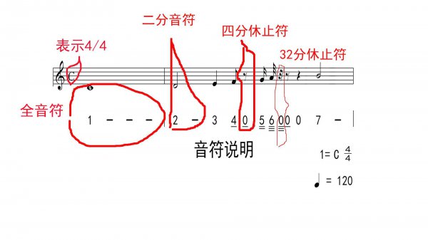 五线谱有几个音位